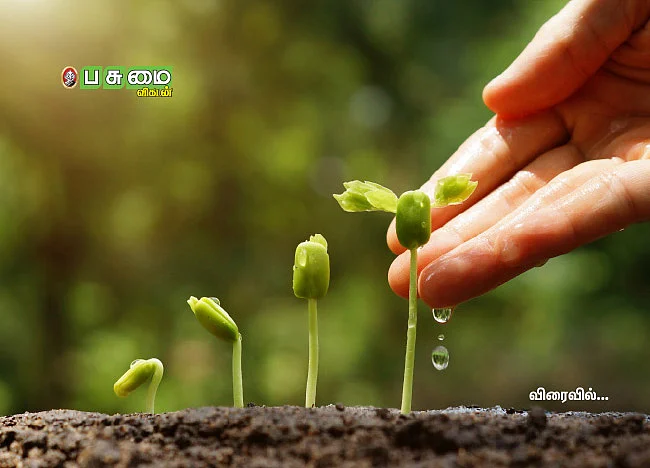 புதிய தொடர்கள் I புதிய பகுதிகள் I புதுப் பொலிவுகள்
