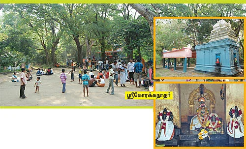 தசாவதாரம் திருத்தலங்கள்!