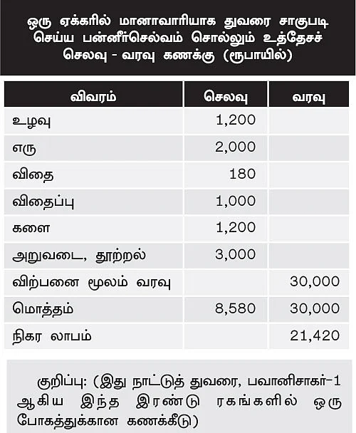 மானாவாரியில் மகத்தான மகசூல்... துவள விடாத துவரை!