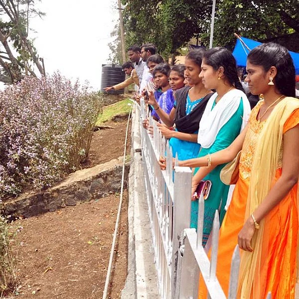 கொடைக்கானலில் 12 ஆண்டுகளுக்கு ஒருமுறை மட்டுமே பூக்கும் நீலக் குறிஞ்சி மலர்களின் அழகிய காட்சி: படங்கள்: வீ. சிவக்குமார்