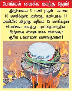 'தை பிறந்தால் வழி பிறக்கும்!'