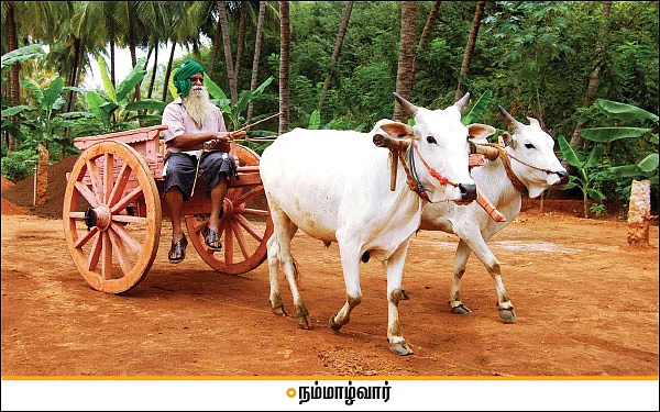 ஆயிரம் சூரியன் ஆயிரம் சந்திரன் ஒரே ஒரு பூமி - 38