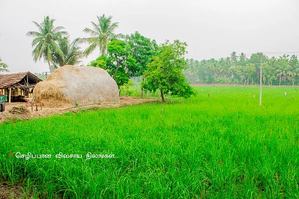 கிராமத்தை அழித்து விரிவாக்கப் பணிகள்... பறிபோகும் நிலங்கள்... பதறும் விவசாயிகள்!
