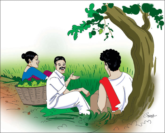 மீன்கள், கோழிகள் வளர்ப்புக்கு மானியம்!