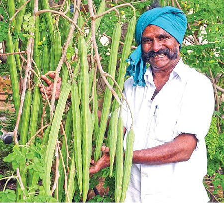 பஞ்சகவ்யா கொடுத்த பணக்கார வாழ்வு! - அன்று ஒரு ஏக்கர்... இன்று 22 ஏக்கர்!