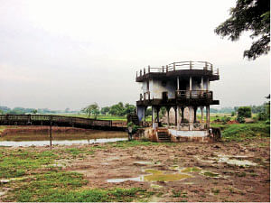 வலையோசை - மு.சிவகுருநாதன்