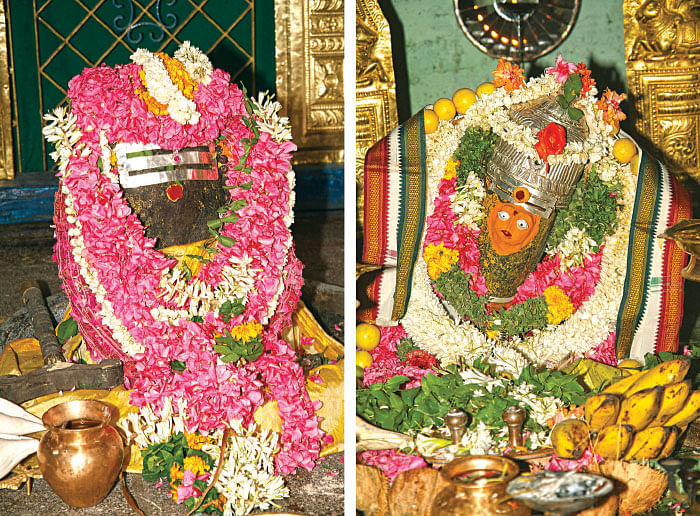`பாதை காட்டினான் பரமன்!' - சதுரகிரியில் சிலிர்க்கும் அனுபவம்