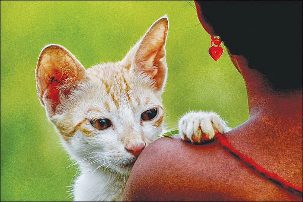 ஆண்பால் பெண்பால் அன்பால் - 49