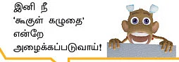 அறிவிழி