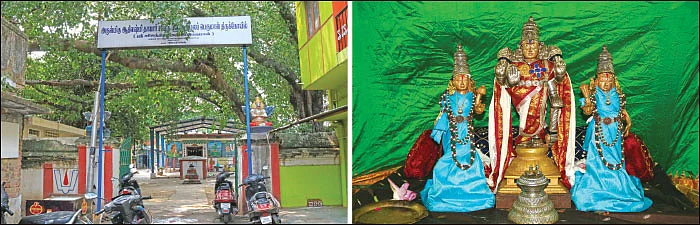கல்யாண வரம் அருளும் மஞ்சள் மாலை!