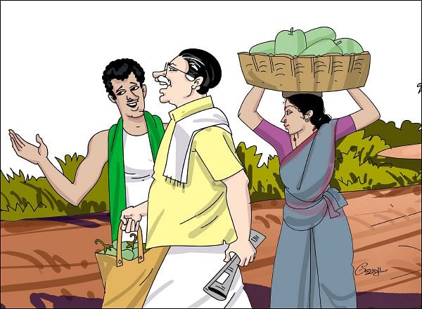 மரத்தடி மாநாடு: கோடைமழை... தென்னைக்கு உரமிட வேண்டிய நேரம்!