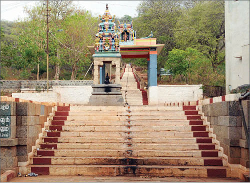 விசாக தரிசனம்: வாழ்வைச் செழிக்கவைக்கும் சென்னிமலை ஆண்டவர்!