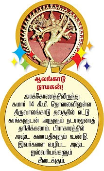 தேவாரத் திருவுலா!