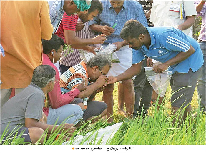 பூச்சிகளும் நம் நண்பர்களே..! - 2.0
