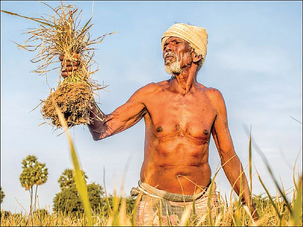 காவிரி நீர்... அதிர்ச்சியில் தமிழகம்... மகிழ்ச்சியில் கர்நாடகா!
