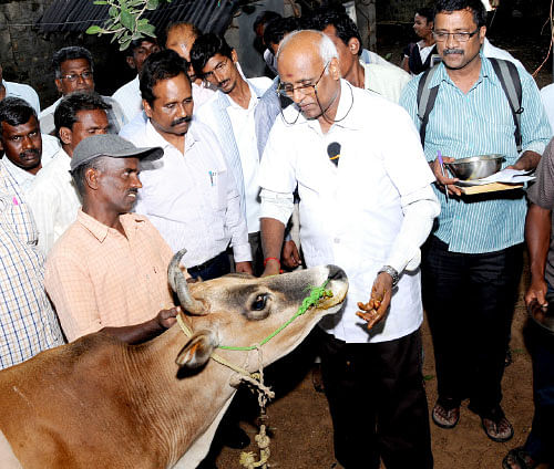 நீங்கள் கேட்டவை : மீன்களுக்கு அரிசிச் சோறு கொடுக்கலாமா?