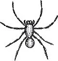 வீரயுக நாயகன் வேள்பாரி - 42