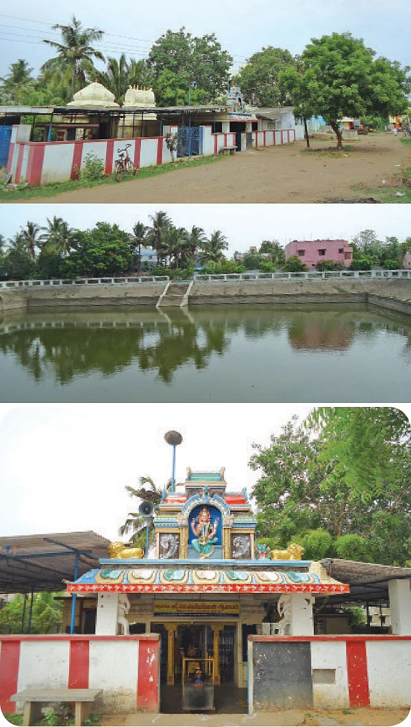 வெள்ளிக்கிழமைகளில் செல்லியம்மனை வேண்டிடுவோம்!