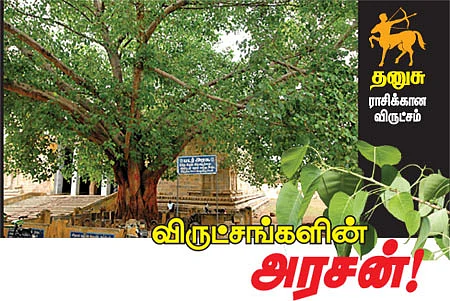 ஆரோக்கியம் அருளும் ஆலய விருட்சங்கள் !