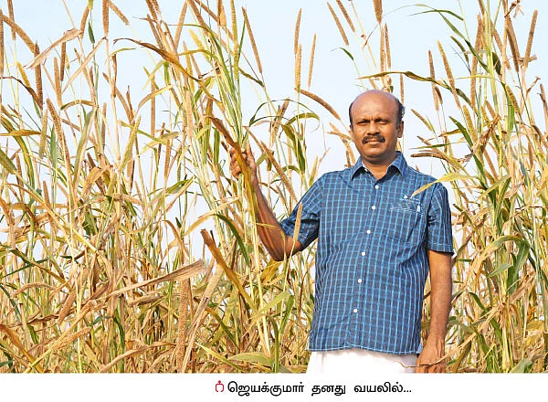 2 ஏக்கர்... 6 வகை பயிர்கள்... ரூ 43 ஆயிரம்...