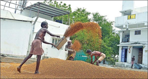 இணையதளத்தில் சந்தை நிலவரங்கள்!