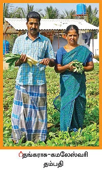 சுழற்சி முறையில் காய்கறி... - 1 ஏக்கர் நிலத்தில் ரூ5 லட்சம் லாபம்!
