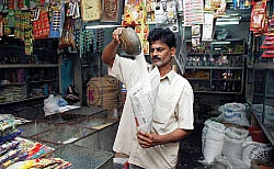 முத்துக்கள் பத்து!