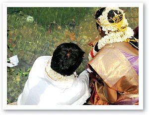 வலையோசை