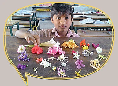 எஃப்.ஏ பக்கங்கள்