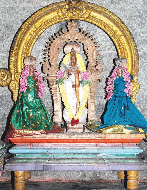 வழிகாட்ட வந்தான் வடிவேலன்!