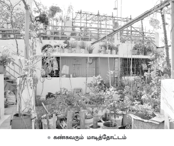 வீட்டுக்குள் விவசாயம் - 1