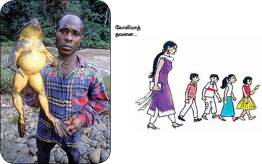மாயா டீச்சரின் மந்திரக் கம்பளம் !