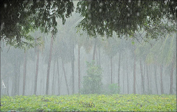 தென்மேற்குப் பருவமழை எப்படியிருக்கும்?