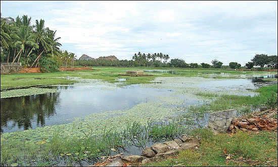 தண்ணீர்... தண்ணீர்... தவிக்கும் தமிழகம்! தீர்வு என்ன?