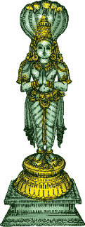 பொதுப் பலன்கள்