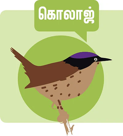கலைடாஸ்கோப் - 52