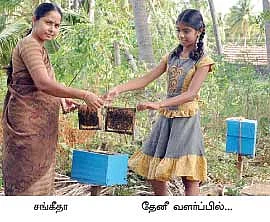 தேன் மழை பொழியுது...தென்னை மகசூல் கூடுது...