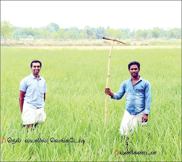 19 ஏக்கர்... ரூ 15 லட்சம் - நெல், எள், வாழை, உளுந்து... சிறப்பான லாபம் கொடுக்கும் ஜீரோ பட்ஜெட்!