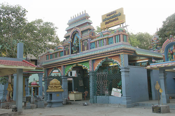 பசுமை செழிக்கச் செய்யும் பச்சையம்மன்!