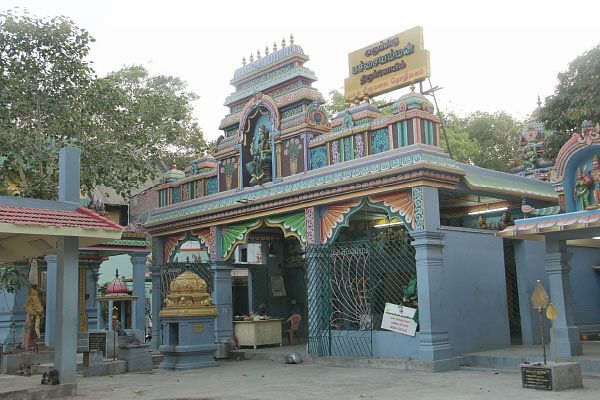பசுமை செழிக்கச் செய்யும் பச்சையம்மன்!