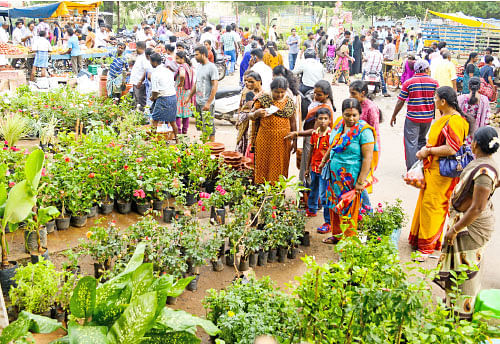 வெளுத்து வாங்கும் வெள்ளிக் கிழமைச் சந்தை!