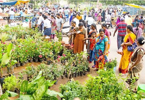 வெளுத்து வாங்கும் வெள்ளிக் கிழமைச் சந்தை!