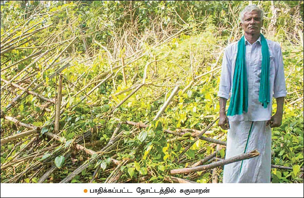 இழந்தது மலையளவு... கொடுப்பது கடுகளவு... அரசின் புயல் நிவாரண மோசடி!