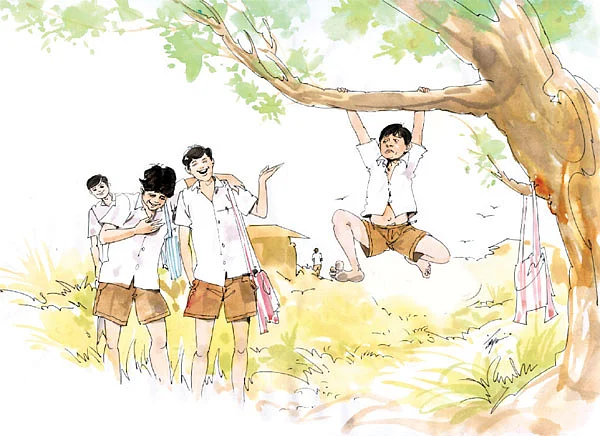 மின்மினி வெளிச்சம்!