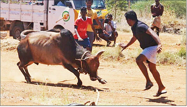 அடங்காதவன்... அசராதவன்!