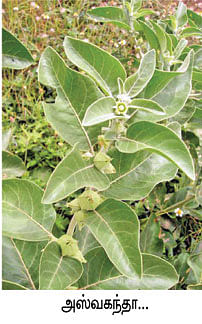 நீங்கள் கேட்டவை