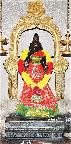 சகலமும் அருளும் கெளரி தேவி வழிபாடு!