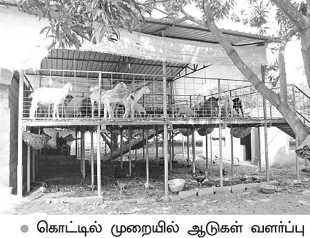 4 ஏக்கரில் ரூ3,00,000 அள்ளிக் கொடுக்கும் ஒருங்கிணைந்த பண்ணை!