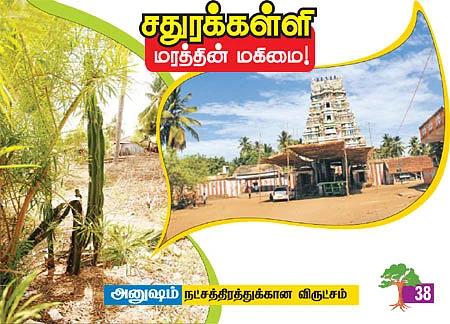 ஆரோக்கியம் அருளும் ஆலய விருட்சங்கள்!