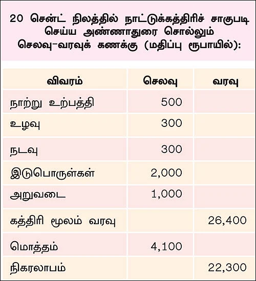 நல்ல வருமானம் கொடுக்கும் நாட்டுக்கத்திரி!